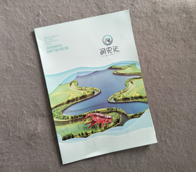 ������ӡˢ